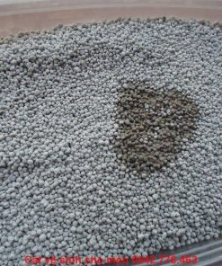 CÁT VỆ SINH MÈO