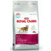THỨC ĂN CHO MÈO ROYAL CANIN FIT 32