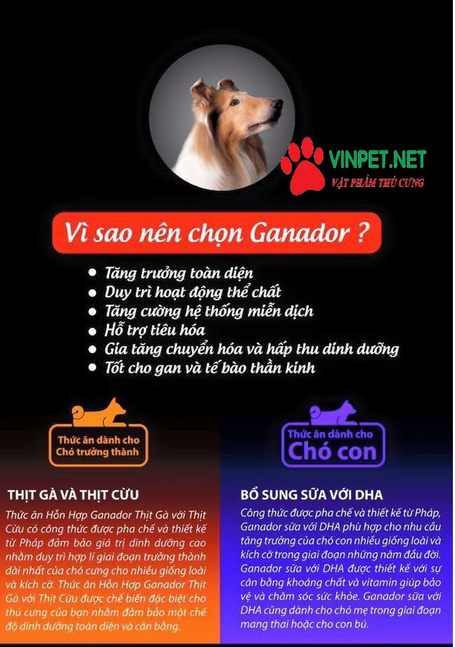 THỨC ĂN CHO CHÓ GANADOR GIÁ RẺ TẠI HÀ NỘI