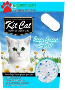 CÁT VỆ SINH KIT CAT CHO MÈO