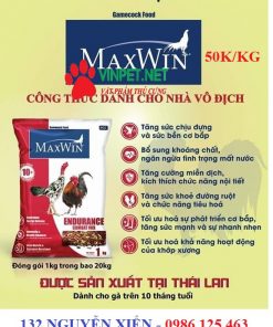 THỨC ĂN GÀ CHỌI MAXWIN