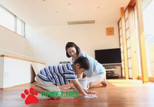 Hướng dẫn Cách Khử sạch mùi nước tiểu chó mèo